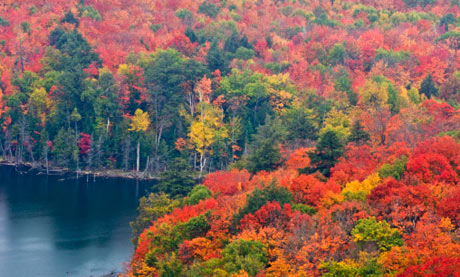 Autumn forest and Porridge Lake from Fire Tower lookoff. Elliot Lake, Ontario, Canada.